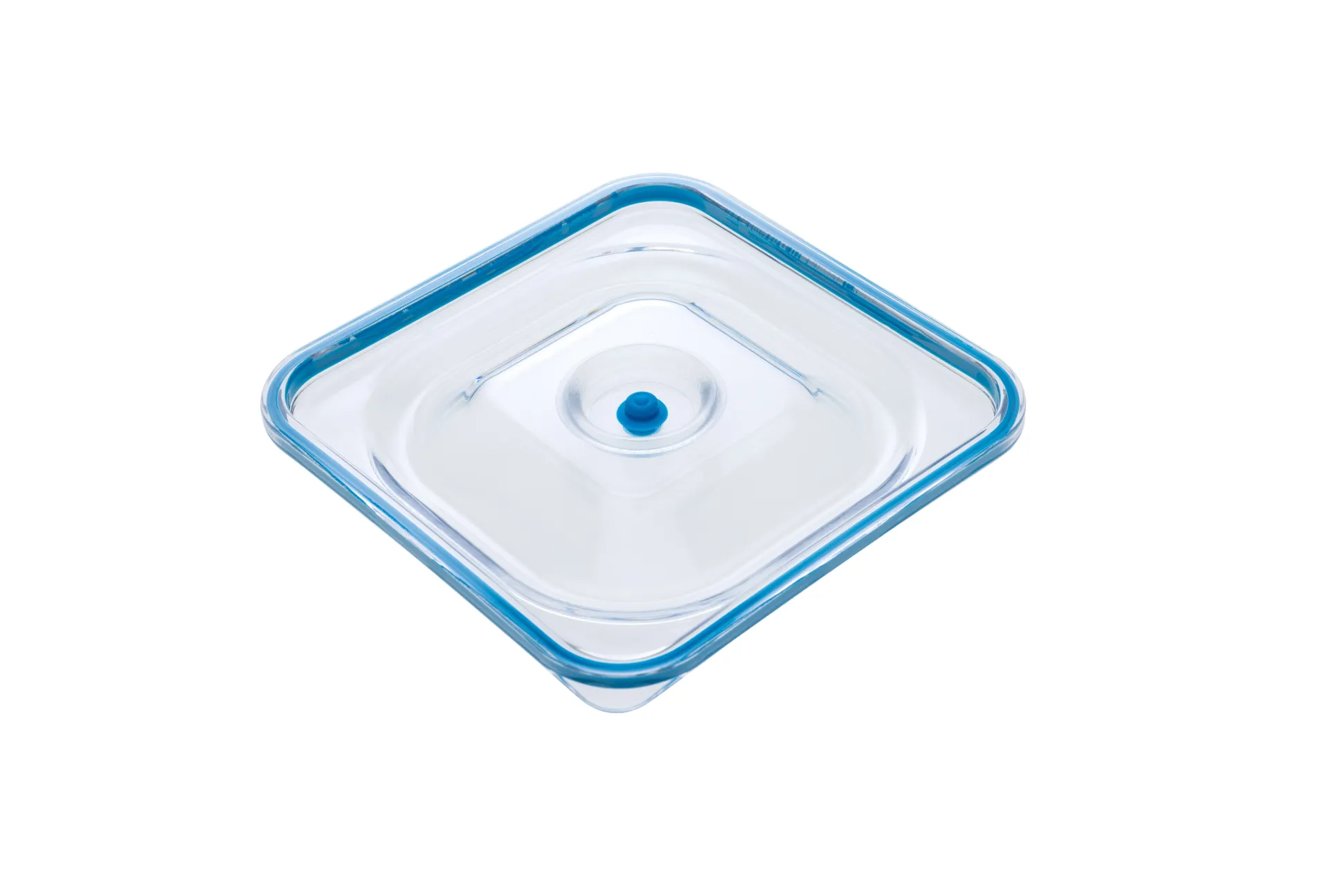 Gastro Container - LID BLAU (FISH)